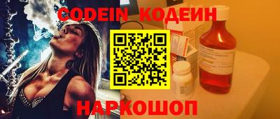 мдпв Кингисепп