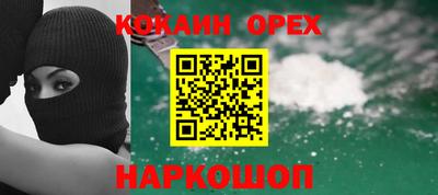 мдпв Кингисепп