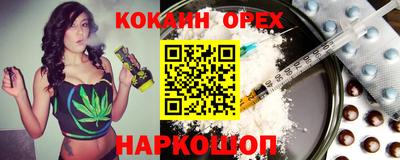 мдпв Кингисепп