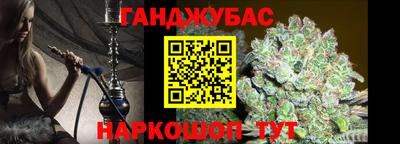 мдпв Кингисепп