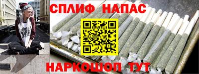 мдпв Кингисепп