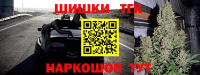 мдпв Кингисепп