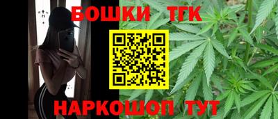 мдпв Кингисепп