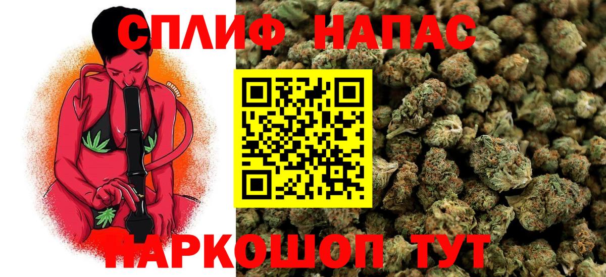 Марихуана сатива Краснознаменск